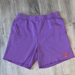 Champion Athletic Shorts in Purple